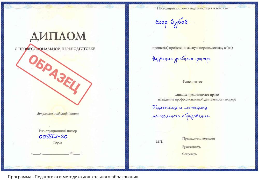 Педагогика и методика дошкольного образования Елизово