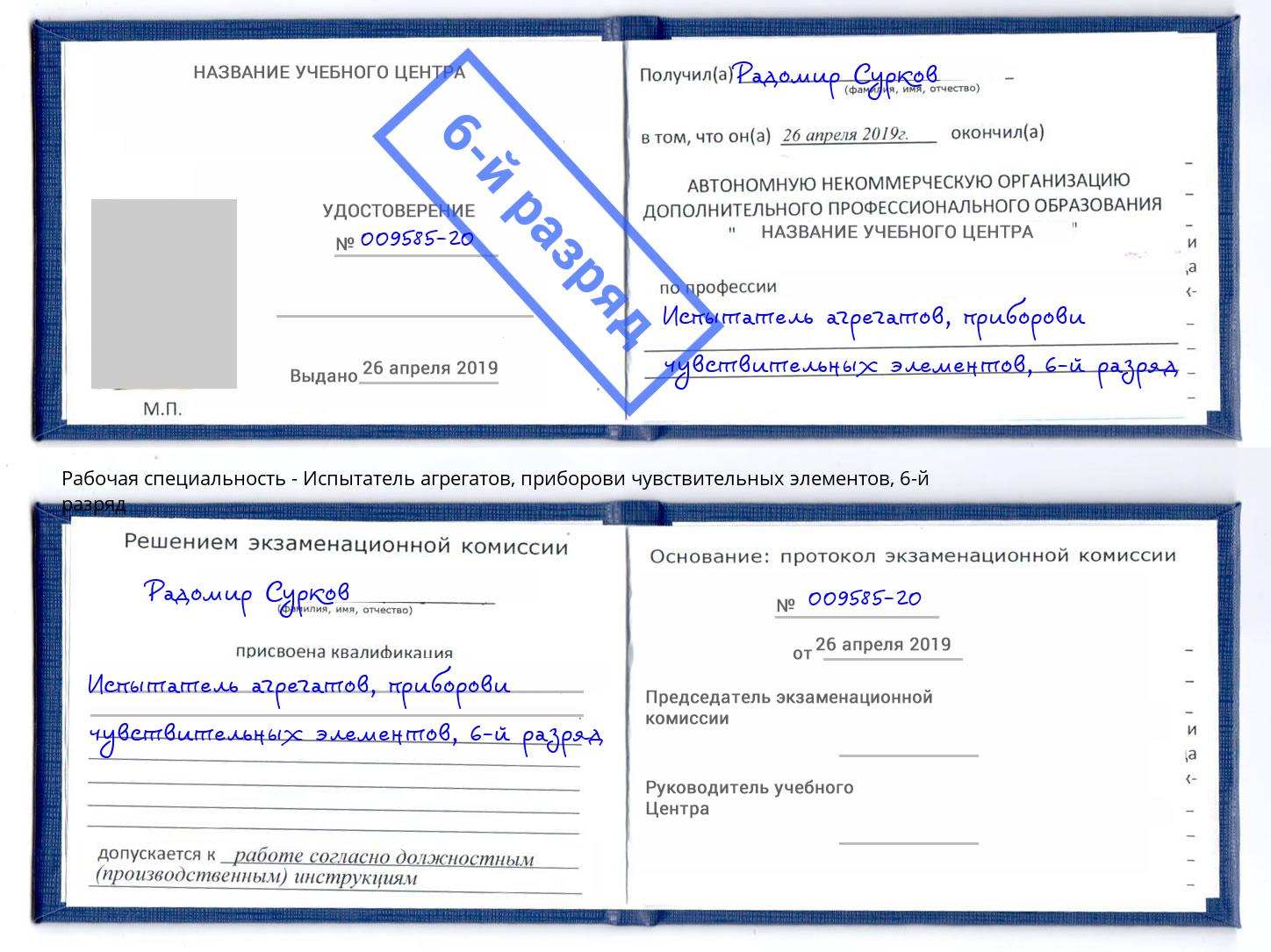 корочка 6-й разряд Испытатель агрегатов, приборови чувствительных элементов Елизово