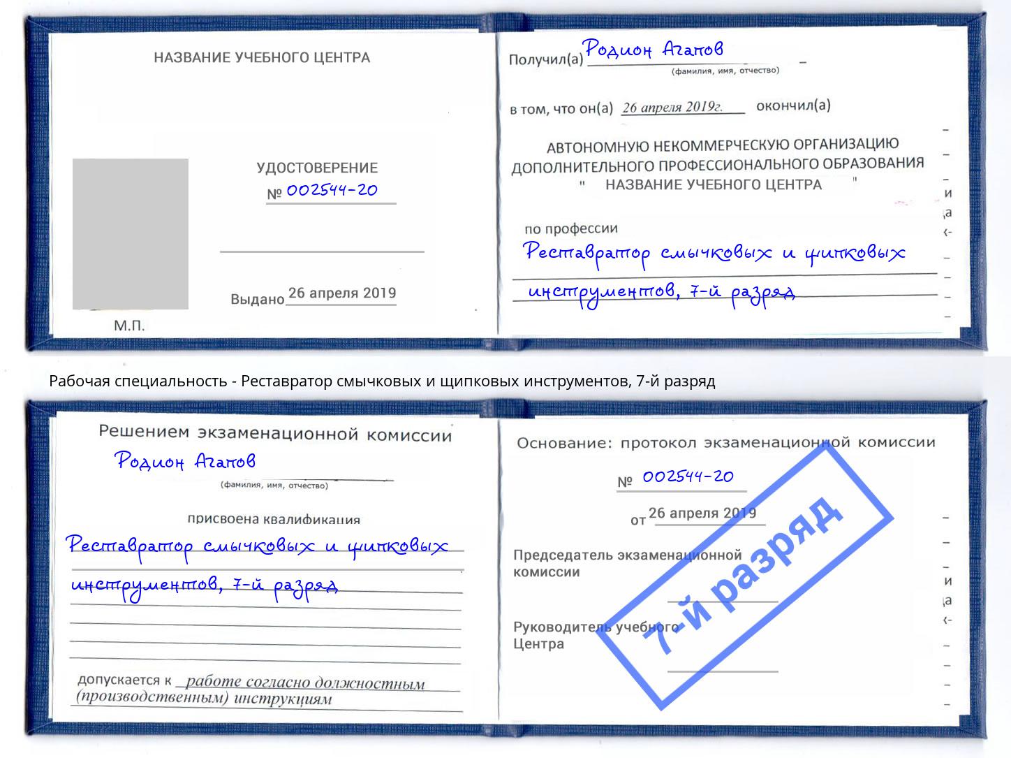 корочка 7-й разряд Реставратор смычковых и щипковых инструментов Елизово