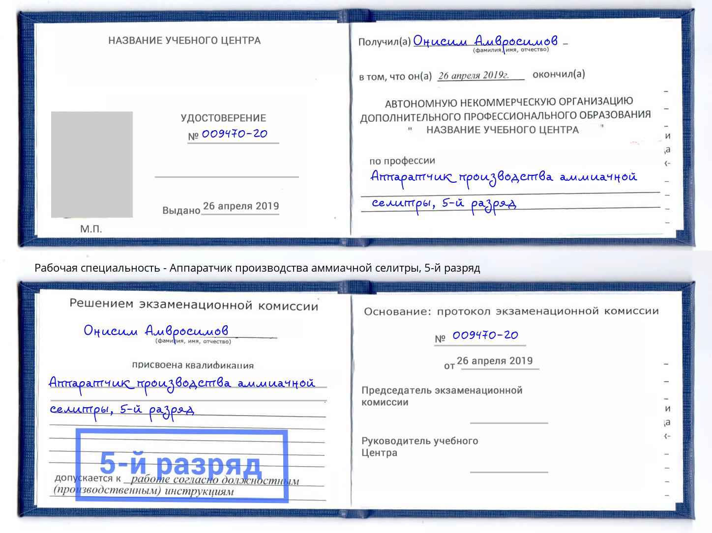 корочка 5-й разряд Аппаратчик производства аммиачной селитры Елизово