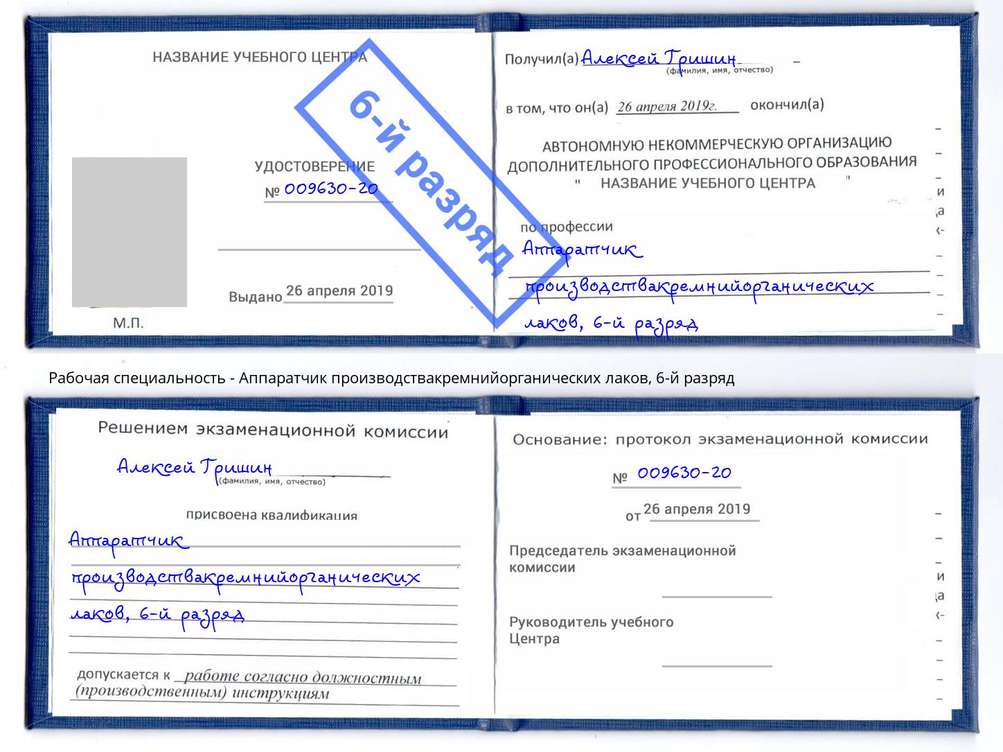 корочка 6-й разряд Аппаратчик производствакремнийорганических лаков Елизово