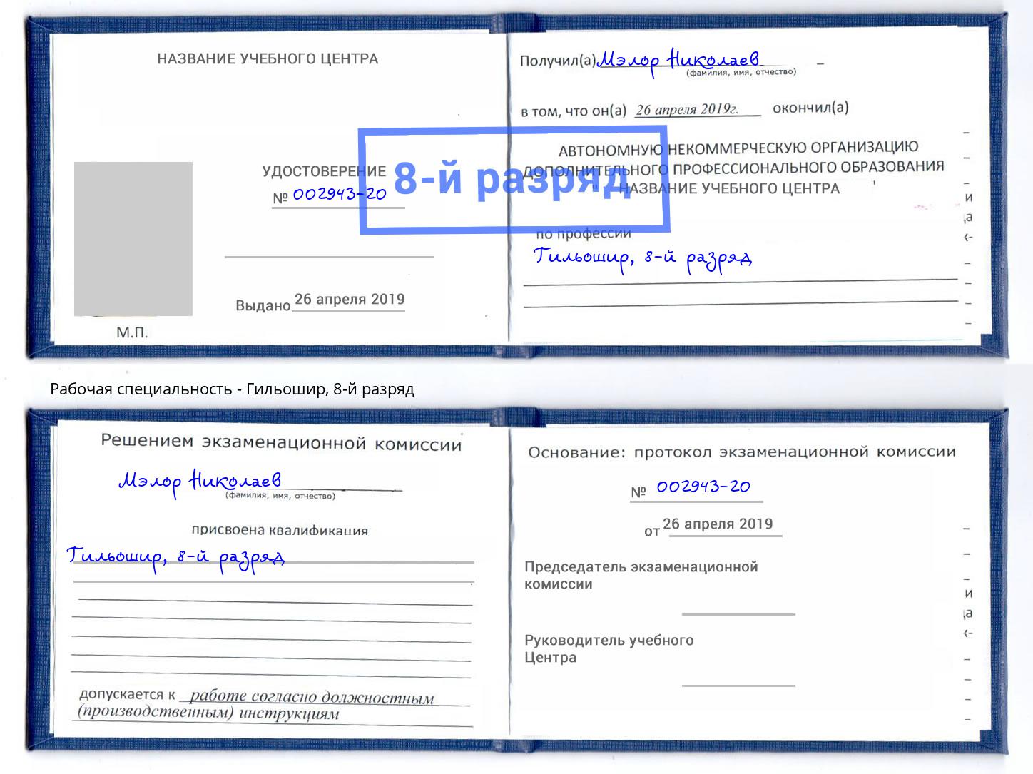 корочка 8-й разряд Гильошир Елизово